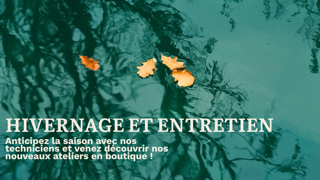 L'automne approche, pensez à l'hivernage