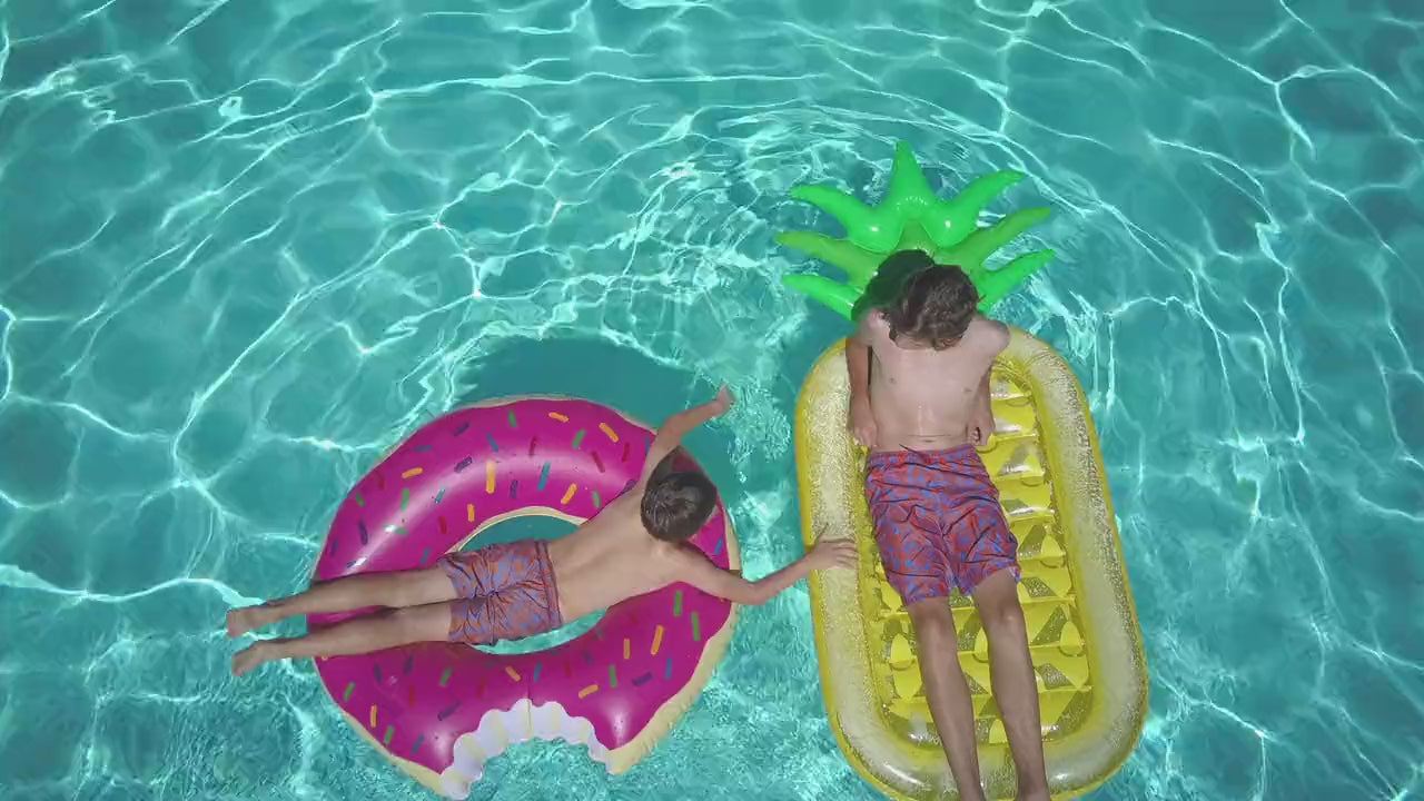 Charger la vidéo : 